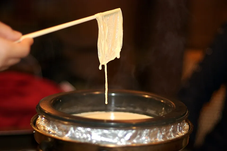 Yuba Tofu Skins